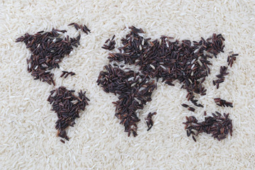 Organic rice sort the shaped like a world map on grain rice back