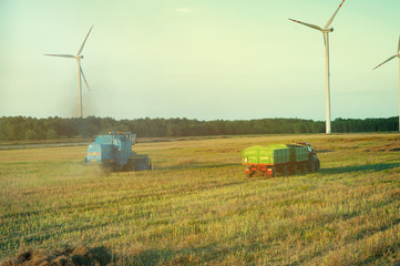 Rape field and combine at work