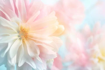  Roze pioen bloem achtergrond © Li Ding