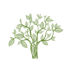 Nature and green concept represented by tree icon. Isolated and flat illustration