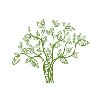 Nature and green concept represented by tree icon. Isolated and flat illustration