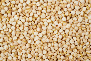 Surface coated with quinoa seeds