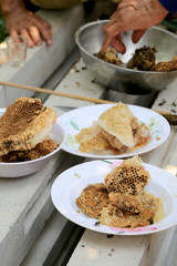 honeycomb and have honey bee in dish.
