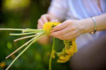 Obraz premium wreath of yellow dandelions in hands