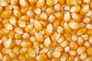 Surface coated with corn kernels