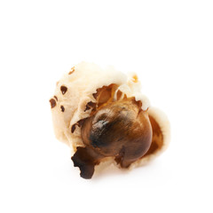 Semi-opened popcorn kernel isolated