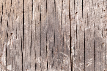 Old wood texture.