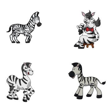 zebra animal illustration design collection