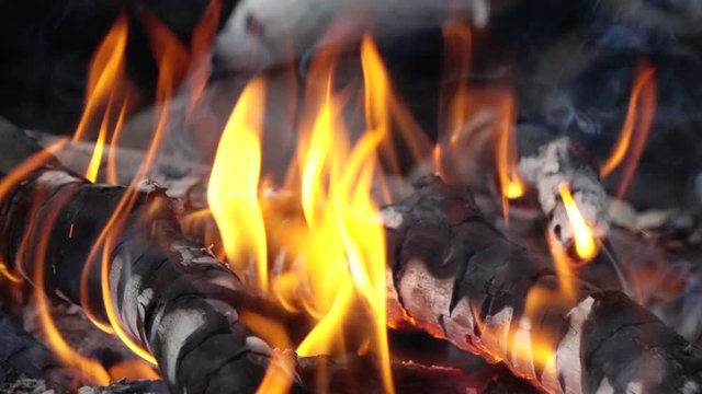 Slow motion video of camp fire. Shot at 240p. Full hd stock footage clip.
