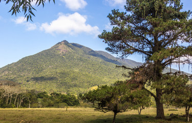 Fototapeta premium Paisagem com montanha.