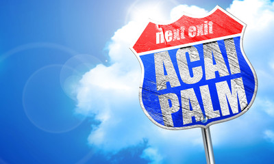 acai palm, 3D rendering, blue street sign