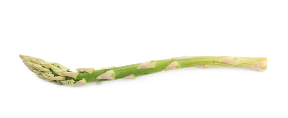 Single spear of asparagus isolated