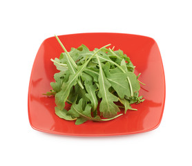 Plate full of rocket salad leaves isolated