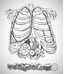 Fototapeta premium Human anatomy chest with vintage mechanism in steampunk style