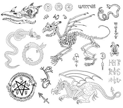 Graphic set with skeletons, dragons and mystic symbols