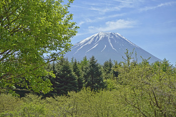 Obraz premium Fuji Mountain in the Outdoor.