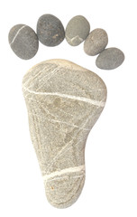 pebble foot isolated