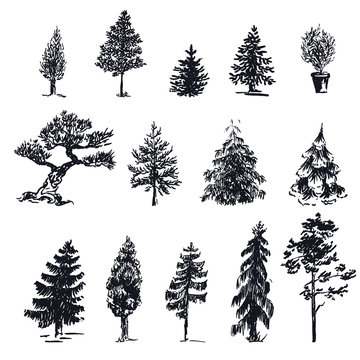 Sketch vector trees 1
