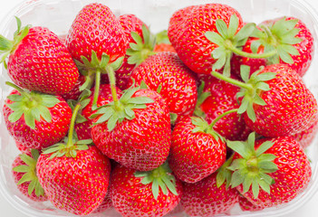 Garden strawberry fruits in the plastic tray