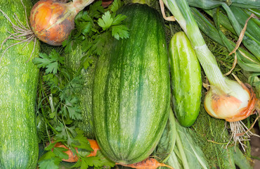 Pile of various unpeeled vegetables from the vegetable patches