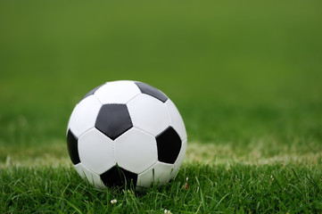 Soccer ball on green grass