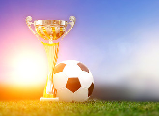 Golden trophy and soccer ball in grass