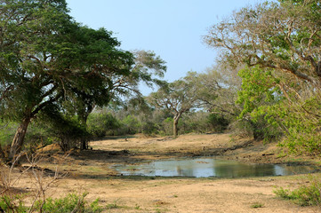 Sri Lanka National park