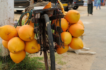 Coconuts on bike