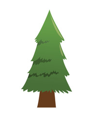 flat design pine tree icon vector illustration