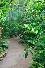 Inside Winter Garden