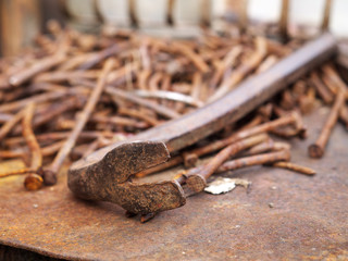 A cat's paw tip closeup against pile of rusty nails, shallow depth of field
