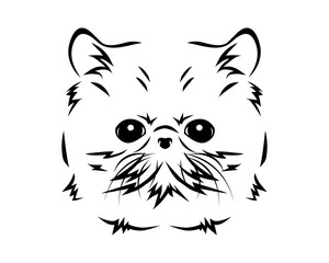 Cat Breed Line Art Logo - Exotic
