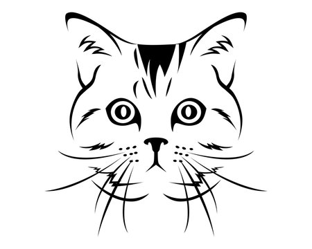 Cat Breed Line Art Logo - American Short Hair