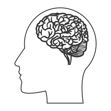 flat design human brain within head silhouette icon vector illustration