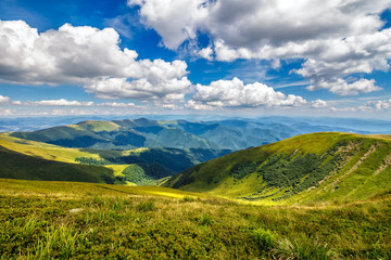 hillside meadow in mountain