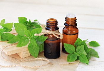Basil herb essential oil. Extract in bottles, fresh green plant leaves. Natural calming and refreshing remedy. 