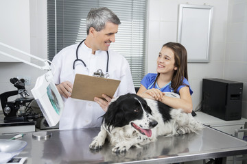 Doctor Holding Clipboard While Looking At Girl With Border Colli