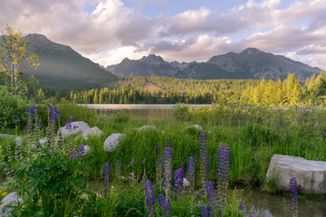 Obraz premium Scenic view of beautiful mountain landscape with hotel next to a lake. Strbske Pleso Town in High Tatras National Park, Slovakia.