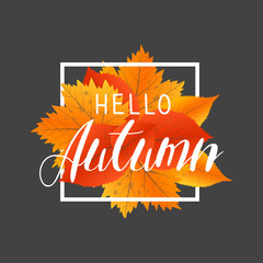 Autumn new season hello. Lettering with hand drawn letters. Label and banner template with yellow red leaves © vectorplus
