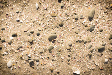 Beach background made of sand pebble and broken seashells.Top view,