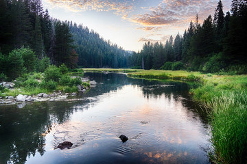 Mountain Stream at Dusk