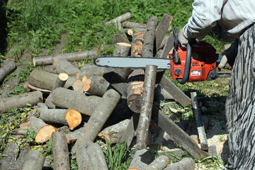 chainsaw to cut firewood