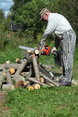chainsaw to cut firewood