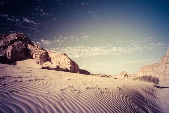 Sinai desert landscape