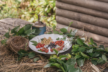 wild berries and green apples on straw