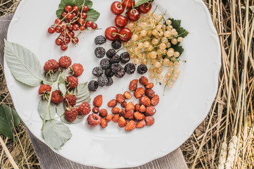 wild berries on plate and straw