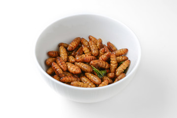 fried insects
