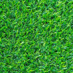 Artificial green grass.