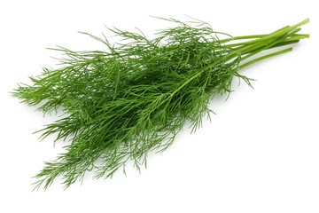 Fresh dill 