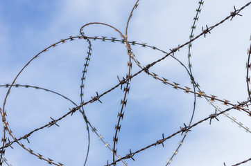 Barbed wire
